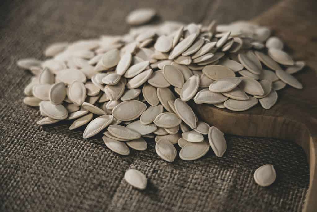 UrinoFix Conține semințe de dovleac